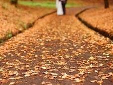 Decoración para Bodas Otoño Invierno