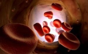 globulos-rojos-sangre Tribulaciones de un pulmón subacuático