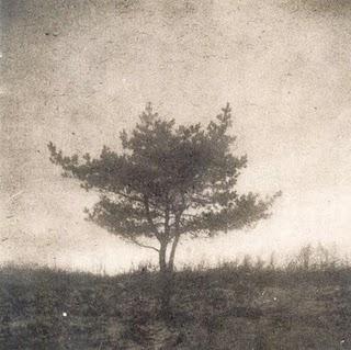 MAIKA MAKOVSKI / DESAPARECER