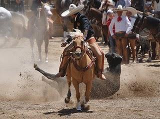 3 Potrillos a Medio Relincho