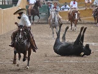Agua Santa “A”, Líder con 371