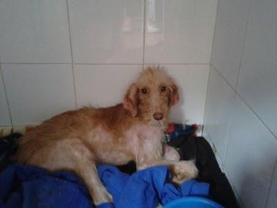 IRIS - NO BORRES EL MENSAJE MIRA SUS FOTOS POR FAVOR.