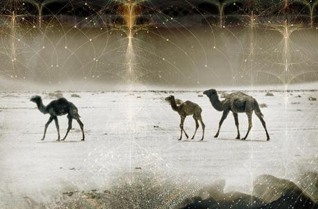 Red Snapper-Making Bones-Paul’s Boutique