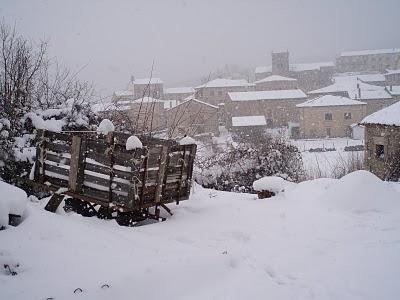 Entrevista en exclusiva:Esther Sanz