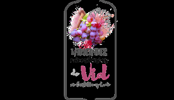 Duero Wine Fest Valladolid 18-19 octubre de 2021