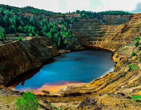 El efecto dilución en la biodiversidad El efecto dilución en la biodiversidad