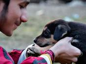 Terapias animales, ¿cómo ayudan?