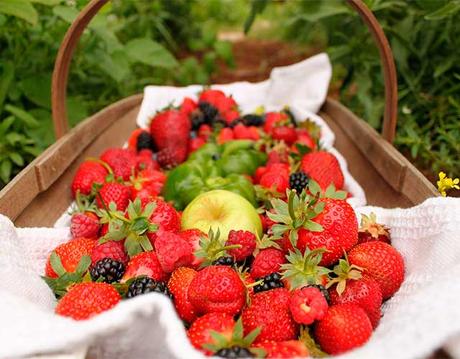 10 alimentos para el hipotiroidismo alimentos para el hipotiroidismo