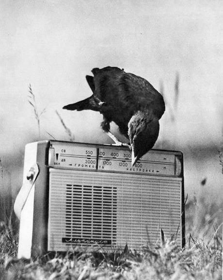 Si allá hubiera radio