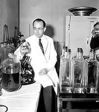 La interesante historia de Jonas Salk y cómo descubrió la vacuna contra la polio