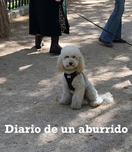 Los vencejos de Fernando Aramburu y el barrio de la Guindalera Los vencejos de Fernando Aramburu y el barrio de la Guindalera