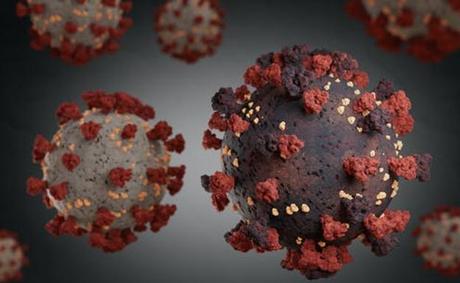 La variante Delta Plus del coronavirus llega a España La variante Delta Plus del coronavirus llega a España