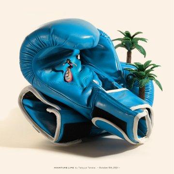 Calendario de Tatsuya Tanaka Surf de Tatsuya Tanaka