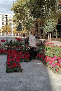 CHAQUETA + PANTALON CHAQUETA + PANTALON