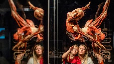 Body Worlds: una exposición muy especial para conocer el cuerpo y el ritmo de vida