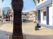 Mobility abre nueva oficina centro Alicante apuesta impulsar movilidad urbana