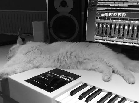 ENTREVISTA CON ARNAU BATALLER (POR MEDITERRANEO)