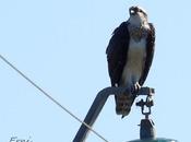 soleada (pero fría) mañana octubre