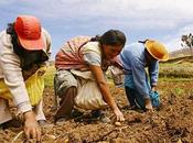 Congreso aprueba declara emergencia alimentaria país