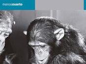 Pequeñas sediciones