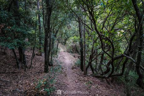 ¿Por qué complicarse?