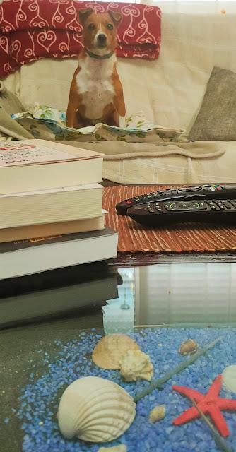 Nos pasamos a la limpieza SOSTENIBLE - Experiencia con Neletab