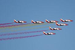 Patrulla Águila-2009.jpg