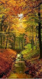 4.748 - DANZAN LAS RAMAS... 4.748 - DANZAN LAS RAMAS...