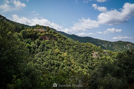 Tapizado de verde Tapizado de verde