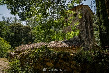 La iglesia del bosque