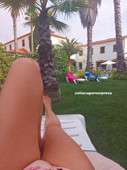 RESTAURANTE LA REBOTICA EN ZAFRA, EXQUISITEZ 100% SIN GLUTEN