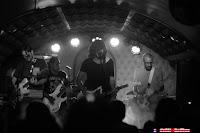 El verbo Odiado en el perro de la parte de atrás del coche