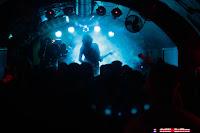 El verbo Odiado en El Perro de la parte de atrás del coche