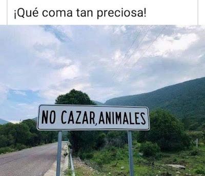 El albiolismo pierde la alcaldía de Badalona, pero sigue vivo y coleando.