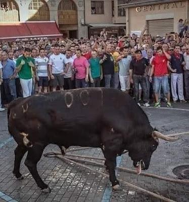 El albiolismo pierde la alcaldía de Badalona, pero sigue vivo y coleando.