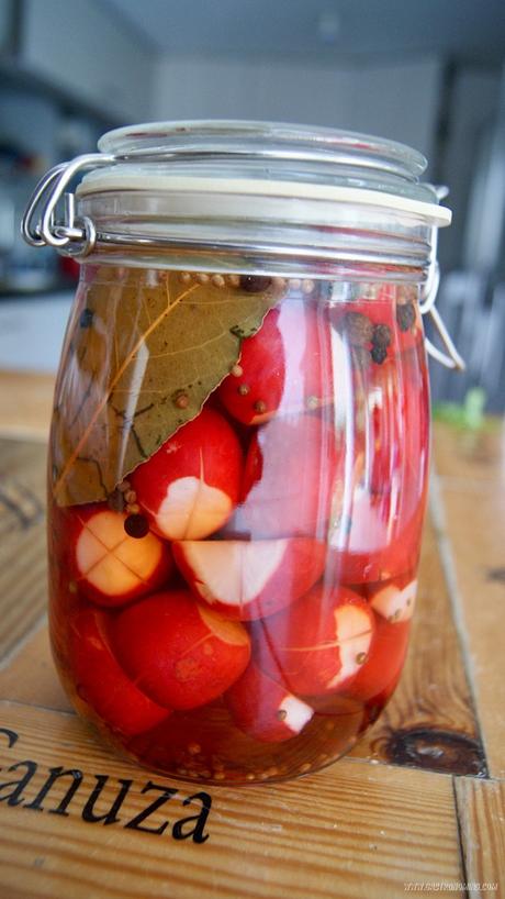 Rabanitos encurtidos