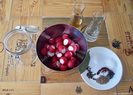 Rabanitos encurtidos