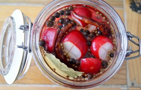 Rabanitos encurtidos