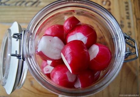 Rabanitos encurtidos