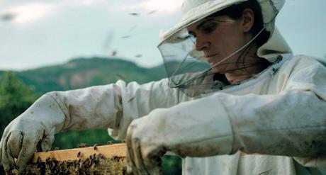 Seminci 2021: «Colmena», «Compartimento N. 6», «Clara Sola» y «La Fam»