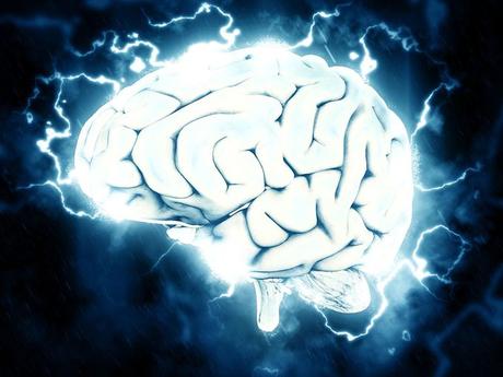 Curiosidades sobre el cerebro