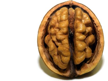 Curiosidades sobre el cerebro