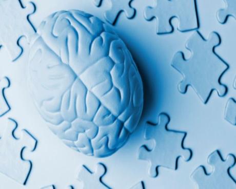 Curiosidades sobre el cerebro