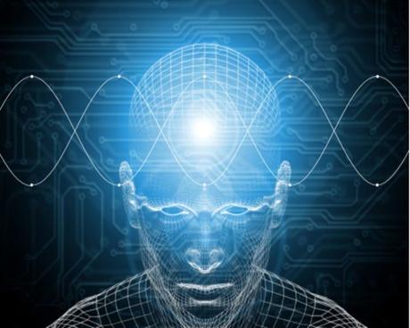 Curiosidades sobre el cerebro