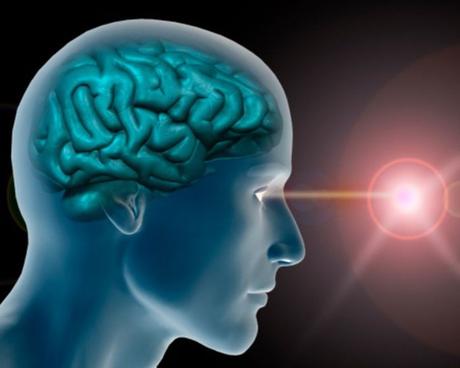 Curiosidades sobre el cerebro