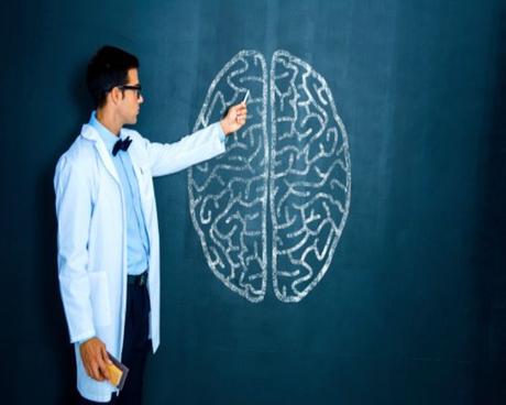 Curiosidades sobre el cerebro