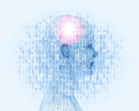 Curiosidades sobre el cerebro