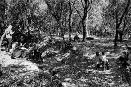 © Roberto Domínguez - Shinrin Yoku_MontMusic © Roberto Domínguez - Shinrin Yoku_MontMusic