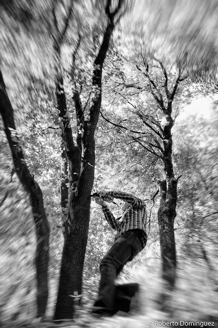 © Roberto Domínguez - Shinrin Yoku_MontMusic © Roberto Domínguez - Shinrin Yoku_MontMusic