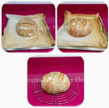 Pan de trigo y espelta con masa madre, dos refrescos y levado lento Pan de trigo y espelta con masa madre, dos refrescos y levado lento